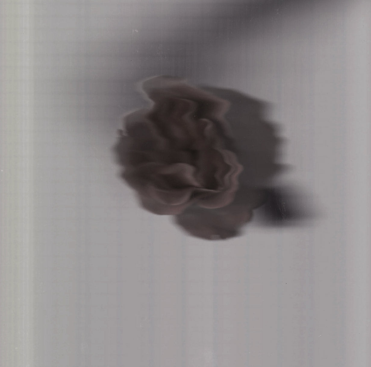 The Science Behind Tremella: Why It Works